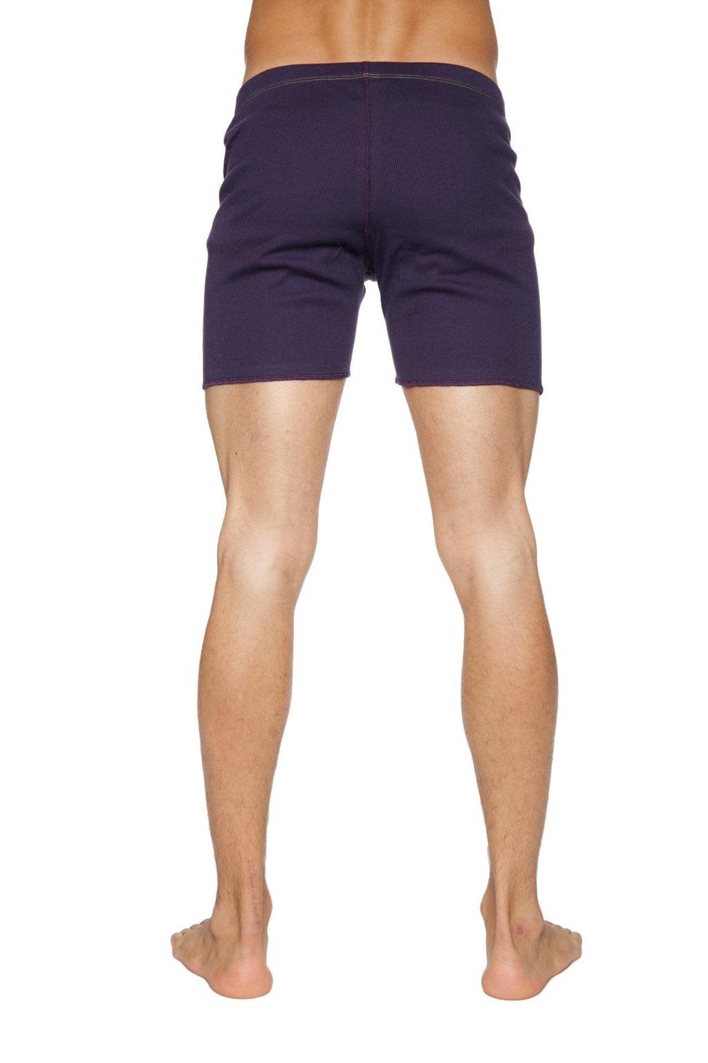 Fusion Yoga Short (Eggplant)