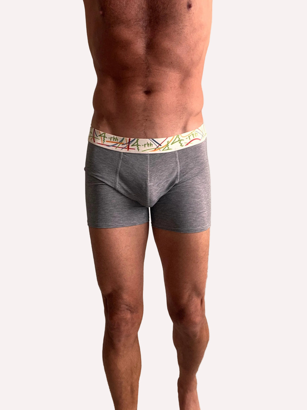 Zen Boxer Brief (Charcoal Grey STRIPE)